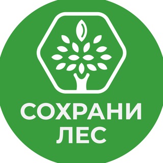 Логотип канала forest_save