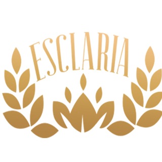 Логотип esclaria