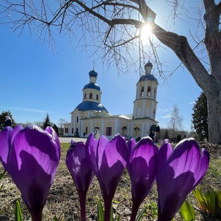 Логотип канала optinapodvor