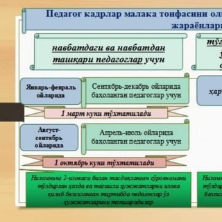 Логотип канала qashqadaryo_pedagoglariga