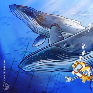 Логотип канала chinese_crypto_whales