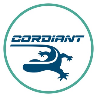 Логотип cordiant_ru