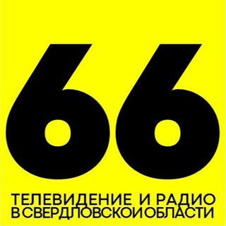 Логотип tvir66