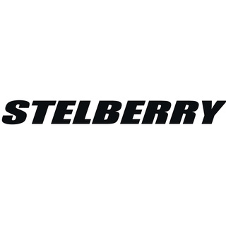 Логотип stelberry