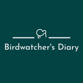 Логотип канала birdwat