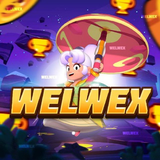 Логотип welwexbs