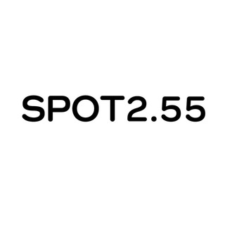 Логотип spot255store