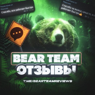 Логотип канала bearteamreviews