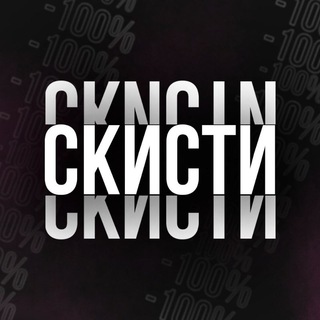 Логотип канала skesti
