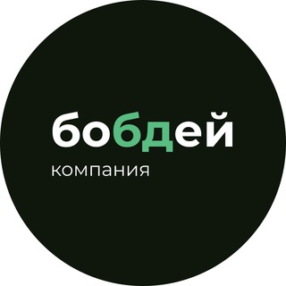 Логотип канала bobdayinfo