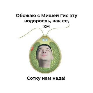 Логотип канала misha_gis