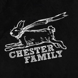 Логотип канала chesterfamily