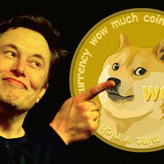 Логотип канала Dogecoin_Elon_Musk