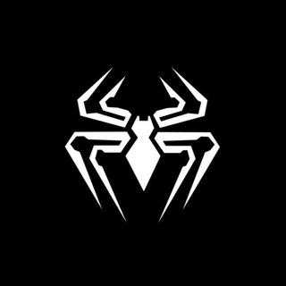 Логотип канала spidertechnology