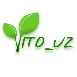 Логотип канала vito_uz