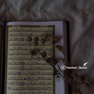 Логотип канала nashed_quran_1