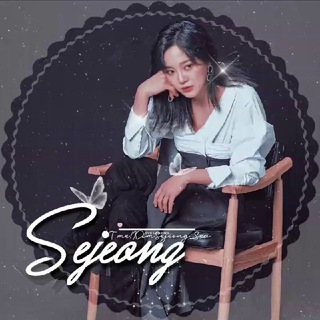 Логотип sejeong_ir