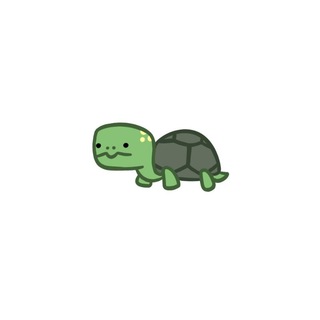 Логотип канала everyday_turtle