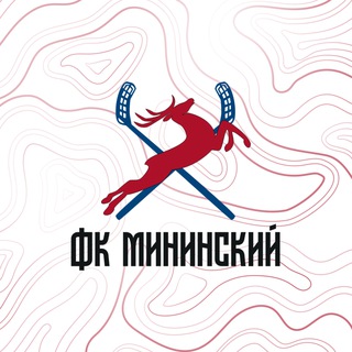 Логотип канала fc_minincky