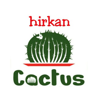 Логотип hirkan_cactus