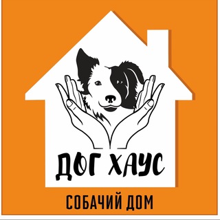 Логотип канала dogxays_tomsk