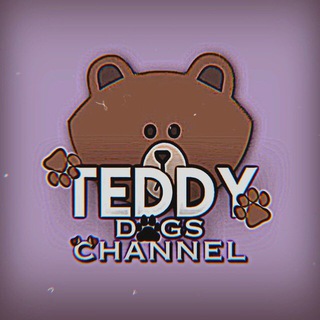 Логотип канала teddychannelll