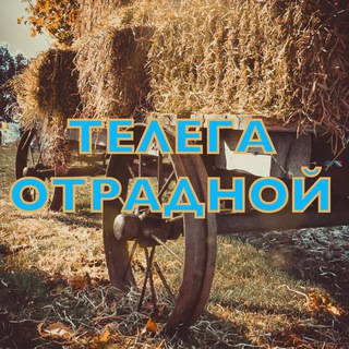 Логотип канала telegaotradnaya