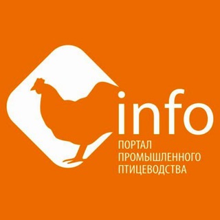 Логотип канала pticainfo