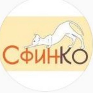 Логотип канала sphynxco