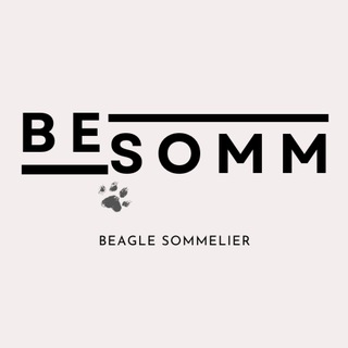 Логотип канала beaglesomm