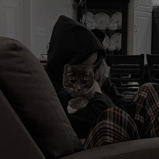 Логотип nerrvouscat
