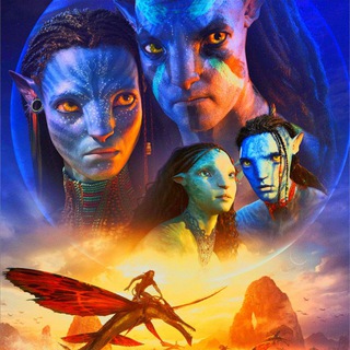 Логотип канала avatar2_caminodelagua