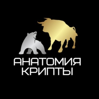 Логотип канала anatomycrypto