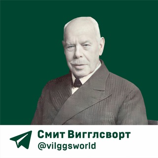 Логотип vilggsworld