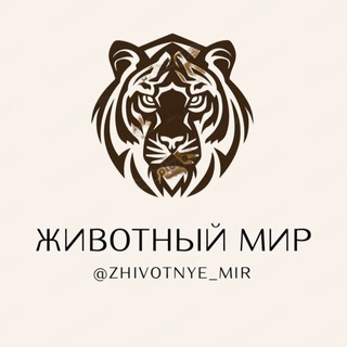 Логотип канала zhivotnye_mir
