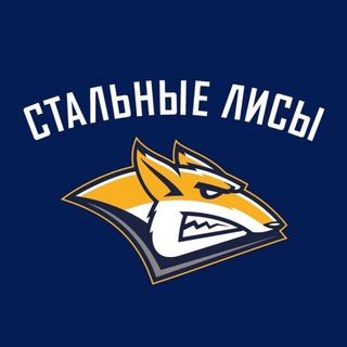 Логотип канала steelfoxesmgn