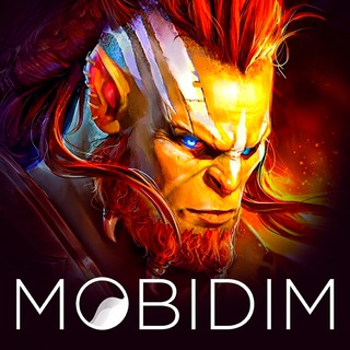 Логотип mobidimraid