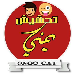 Логотип канала noo_cat