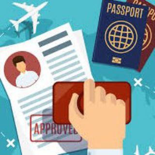 Логотип doctorsimmigration2