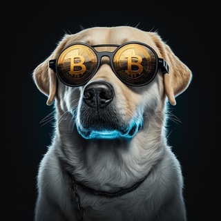 Логотип канала crypto_bulldog9