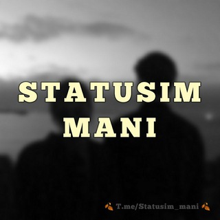 Логотип statusim_mani