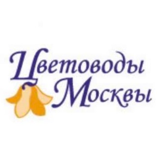 Логотип канала clubcm