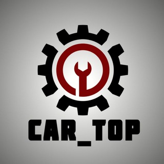 Логотип car_topopt