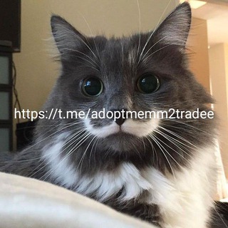 Логотип канала adoptmemm2tradee