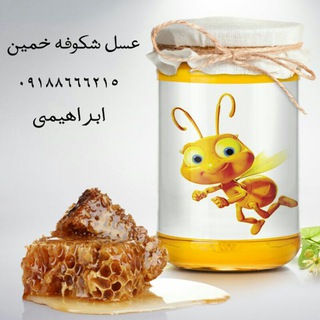 Логотип shekofehoney