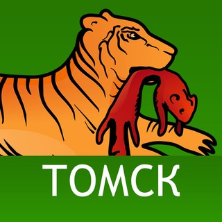 Логотип канала vtomsk24