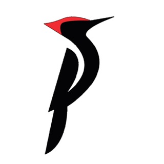 Логотип канала shortreadlaw