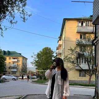 Логотип канала sannbezamm