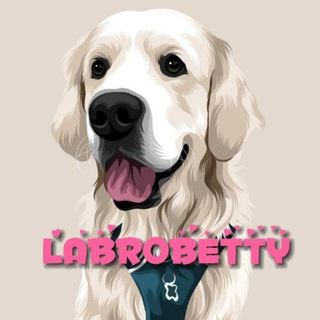 Логотип betty_labr