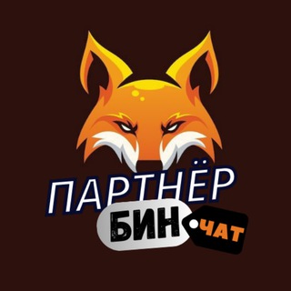 Логотип канала partner_bin_chat